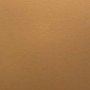 Meet your Posher, Zabrina